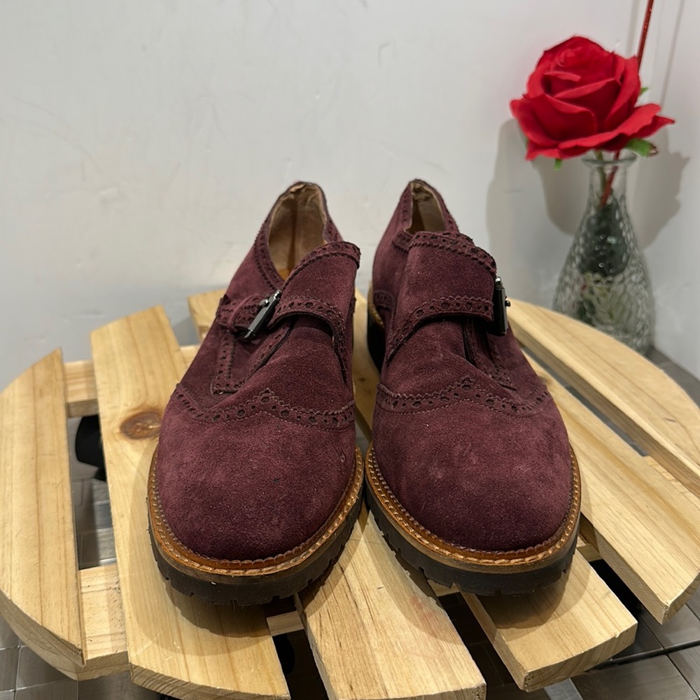 Sarto ankle boots‎ #168